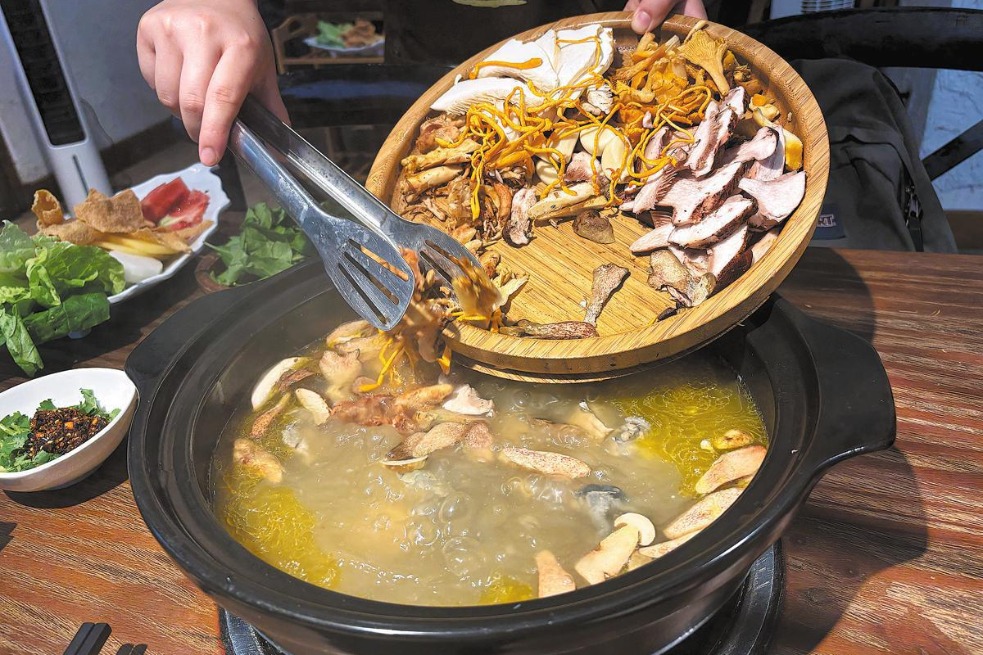 Wild mushroom season in Yunnan has visitors heading for the hills
