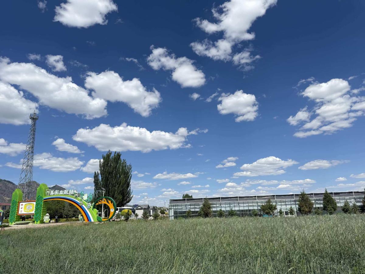 Hohhot family farms & ranches help farmers prosper