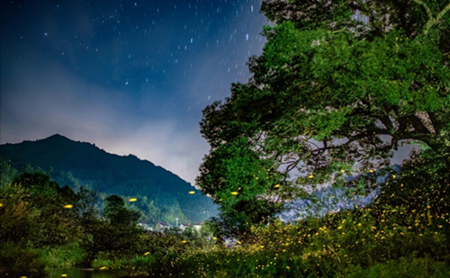 Quzhou's Changhong offers pristine night sky views