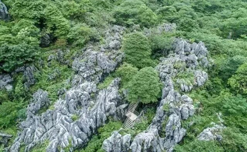 Quzhou's geopark offers cool summer escape