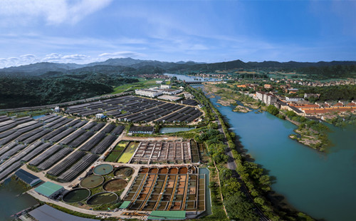 Caviar giant backed by Quzhou production base lists on Hong Kong exchange