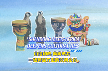 Shandong gala deepens China-Africa people-to-people exchanges