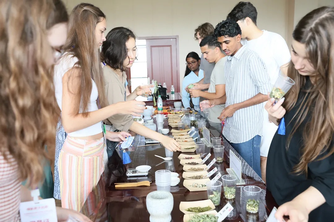 International students explore tea culture and cross-border e-commerce in Jiangsu