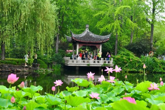 1783935452013003031.jpg 图片3.jpg