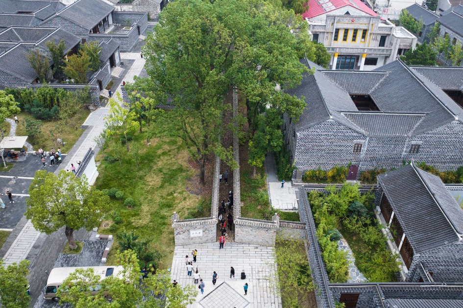 Xi Story: Six-foot alley reveals Chinese wisdom of making room for others