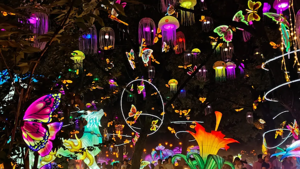 Ningbo lantern fair lights up summer nights
