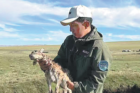 Xizang rangers devoted to wildlife conservation