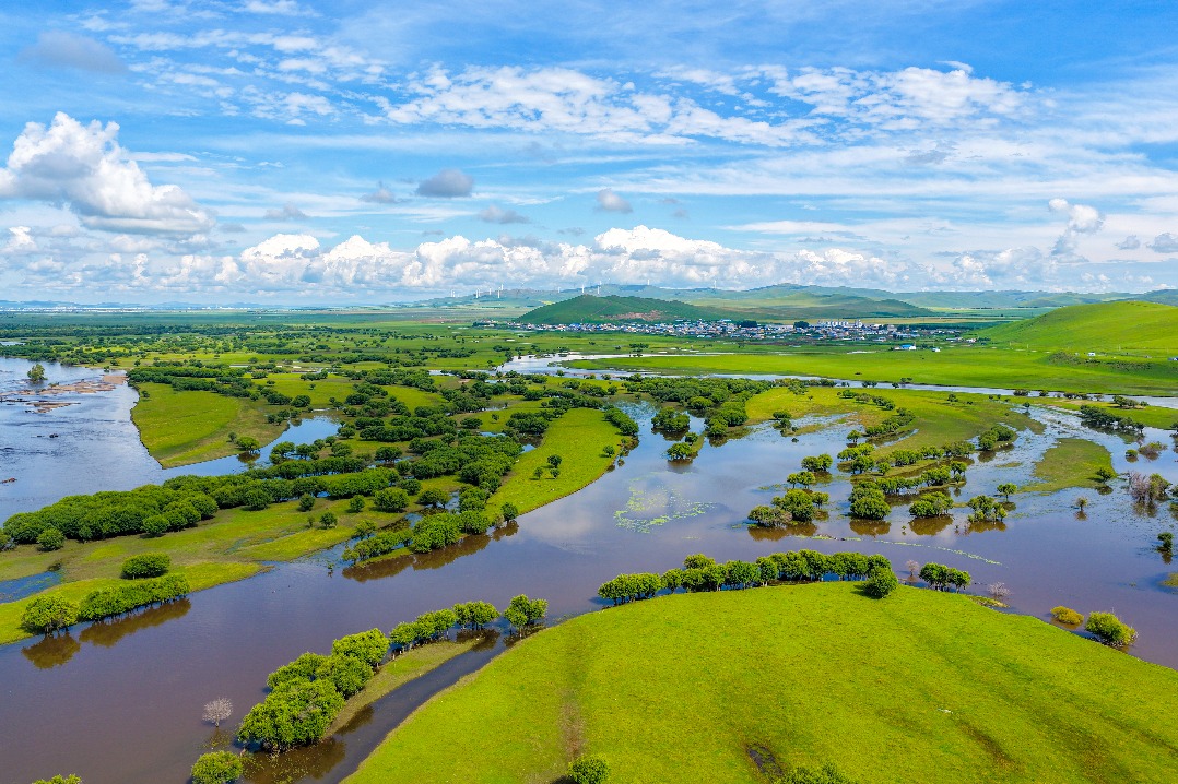 National Ecology Day: Charting China's ecological progress