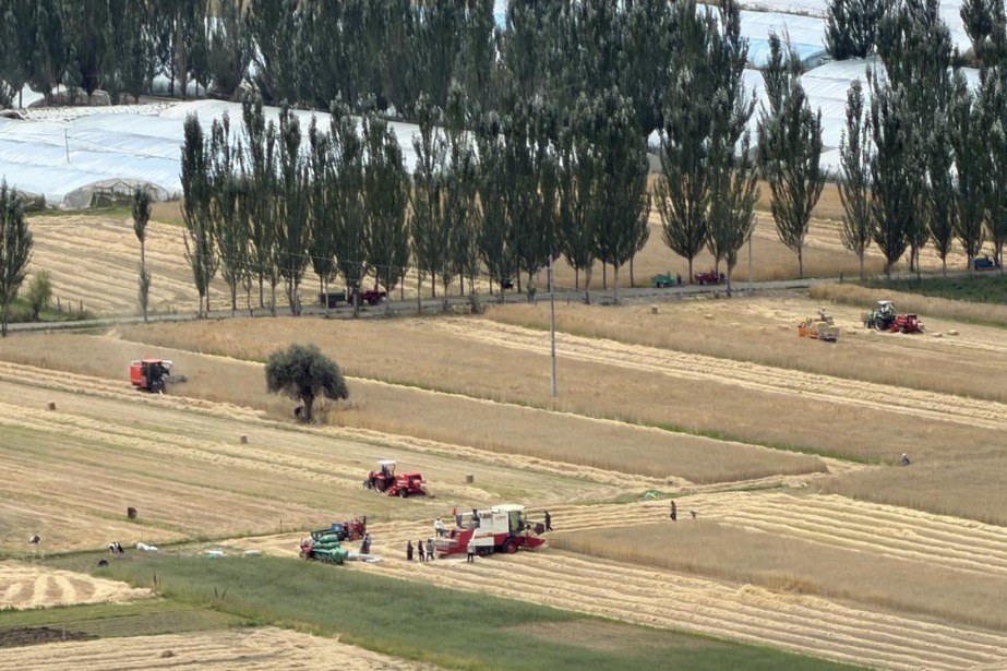 Xizang barley farmers take advantage of new technology