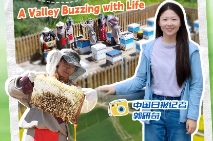 Beekeeping venture transforms lives in Xizang's Yarlung Zangbo River Valley