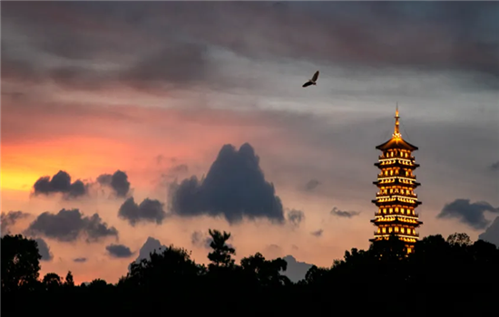 1763112496826041795.png 图片3_副本.png