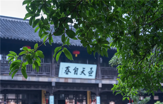 图片4_副本.png