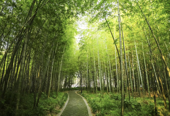 Yangzhou adds 3 national 3A-level tourist attractions