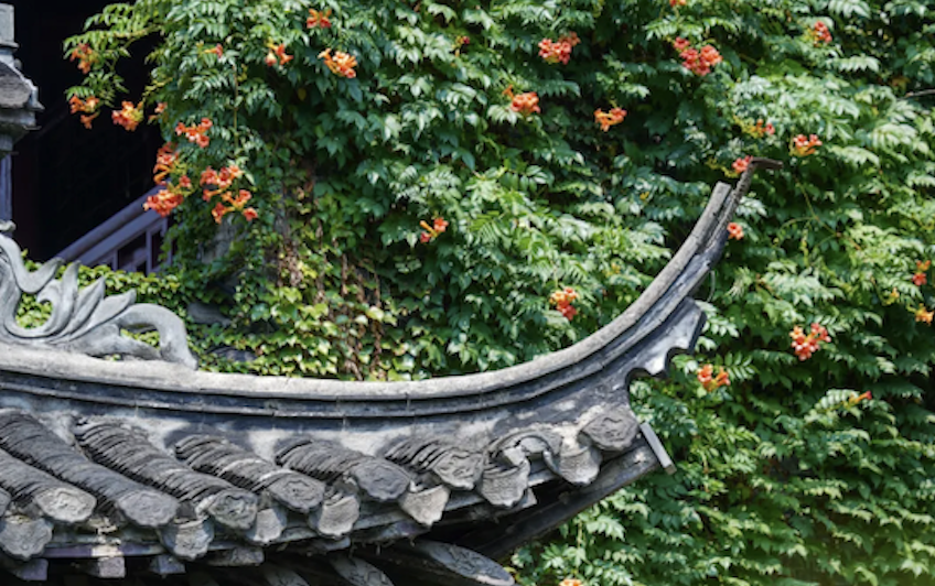 A visit to Yangzhou Heyuan Garden