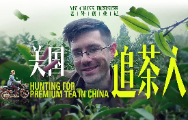 Hunting for premium tea in China