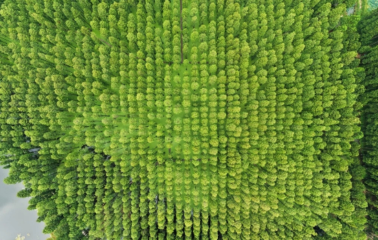 1786698780230003265.jpg 图片6.jpg