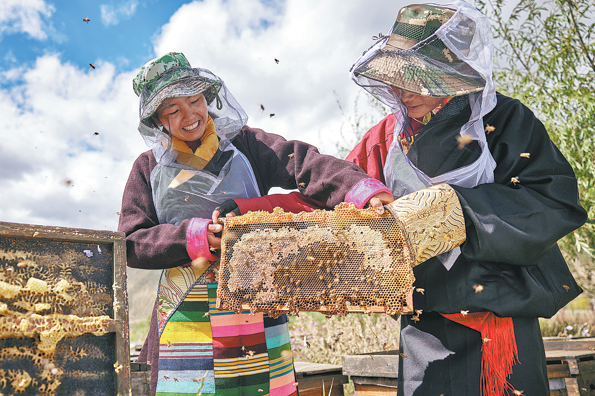 Villagers harvest sweet success