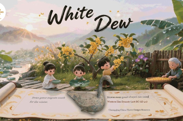 Unveiling the cultural tapestry of the 24 solar terms: White Dew