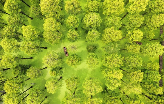 图片7.jpg