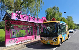 Yangzhou launches shuttle bus route for pets
