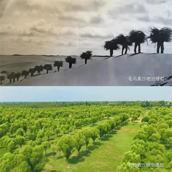 1787910053907092540.jpg 图片53.jpg