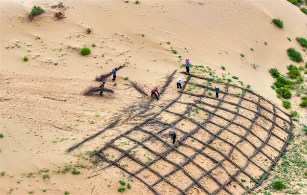 Ordos combats desertification with work-relief programs