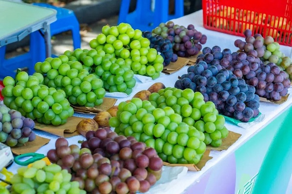 Hongshan's orchards come alive in summer