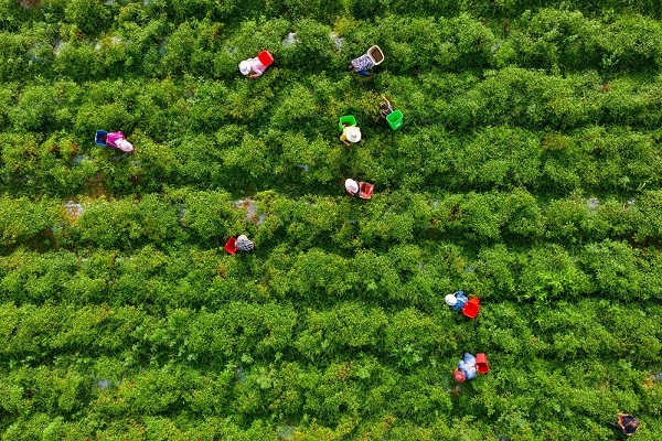 1785837201489084806.jpg 2_副本.jpg