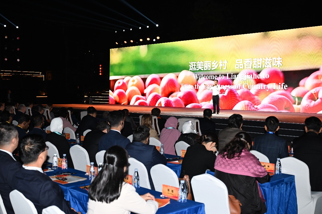 Foreign guests witness progress in Northwest China's Shaanxi