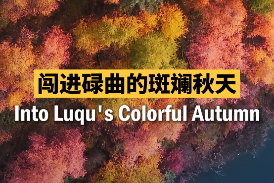 Autumn paints Gansu's Luqu in vibrant hues
