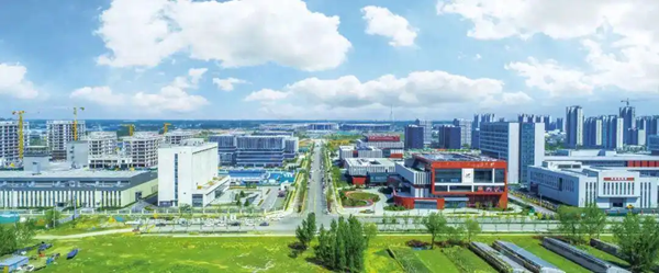 1791797764454044856.png 山东2_600.png