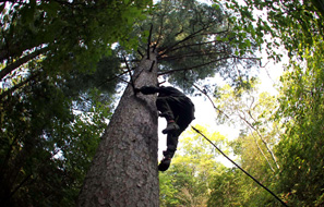 Farmer survives after strong wind catches air balloon