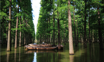 Lvyang Lake Eco-tourist Resort