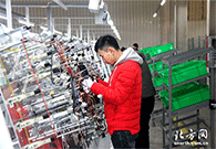 Ninghe district developing into an industrial highland