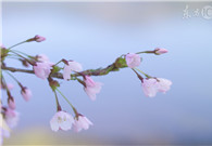 Spring outing in Beijing