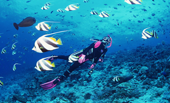 Guangzhou Ocean World