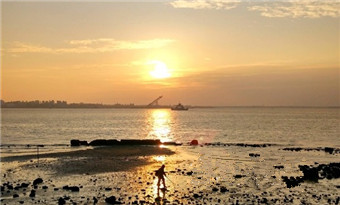 Rising winter sun kisses Zhanjiang's sea-view corridor