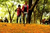 The best places to savor the beauty of autumn in Hangzhou