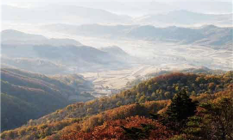 Jiguan Mountain Forest Park