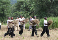 Foreign martial arts fans celebrate their Kung Fu roots at Shaolin Temple