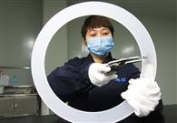 Development zones get big push from govt 