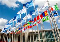 CIIE to see more global entries in '19 