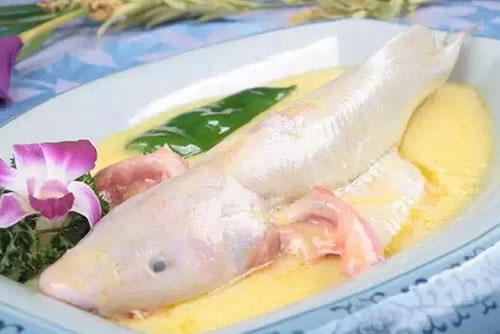 Leiocassis longirostris with cream sauce