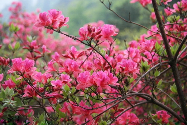 Best times to travel to Nantong