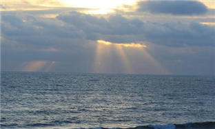 Zhoushan to host major activities of World Ocean Day