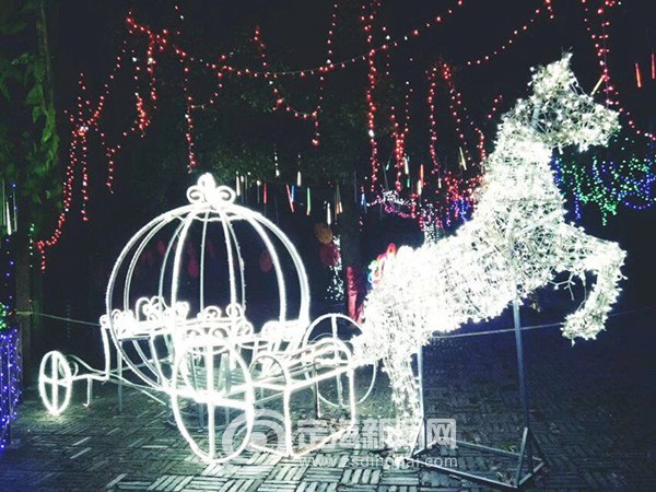 Donghai Valley Eco Forest Park opens first night tourism program