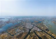 Green development ready to go in Xiongan New Area 