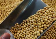 Five GM products approved for import into mainland