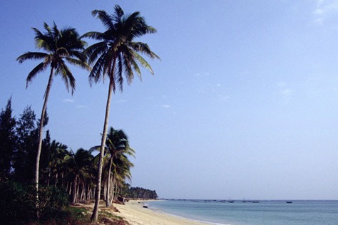 Visa-free regime to woo more Russian tourists to China's island province