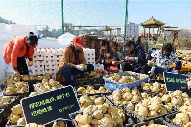 Spring Festival shopping going rural amid anti-poverty push